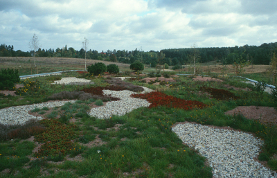 extensive Dachbegr�nung R�thegrund II