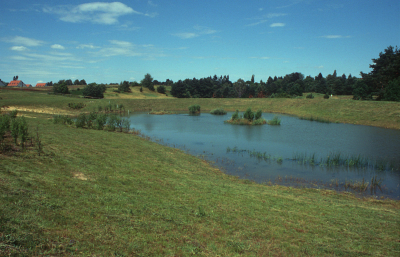 Regenbecken R�thegrund nach Inbetriebnahme